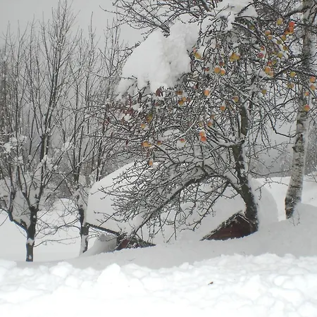 Fraina 4* Cortina d'Ampezzo