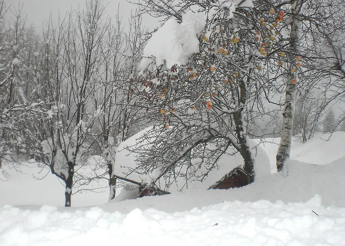 Fraina 4* Cortina dʼAmpezzo